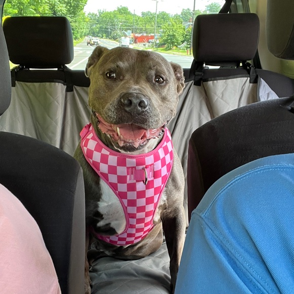 Meet me! ๐๐ผ๐ - Picture 4 of 16